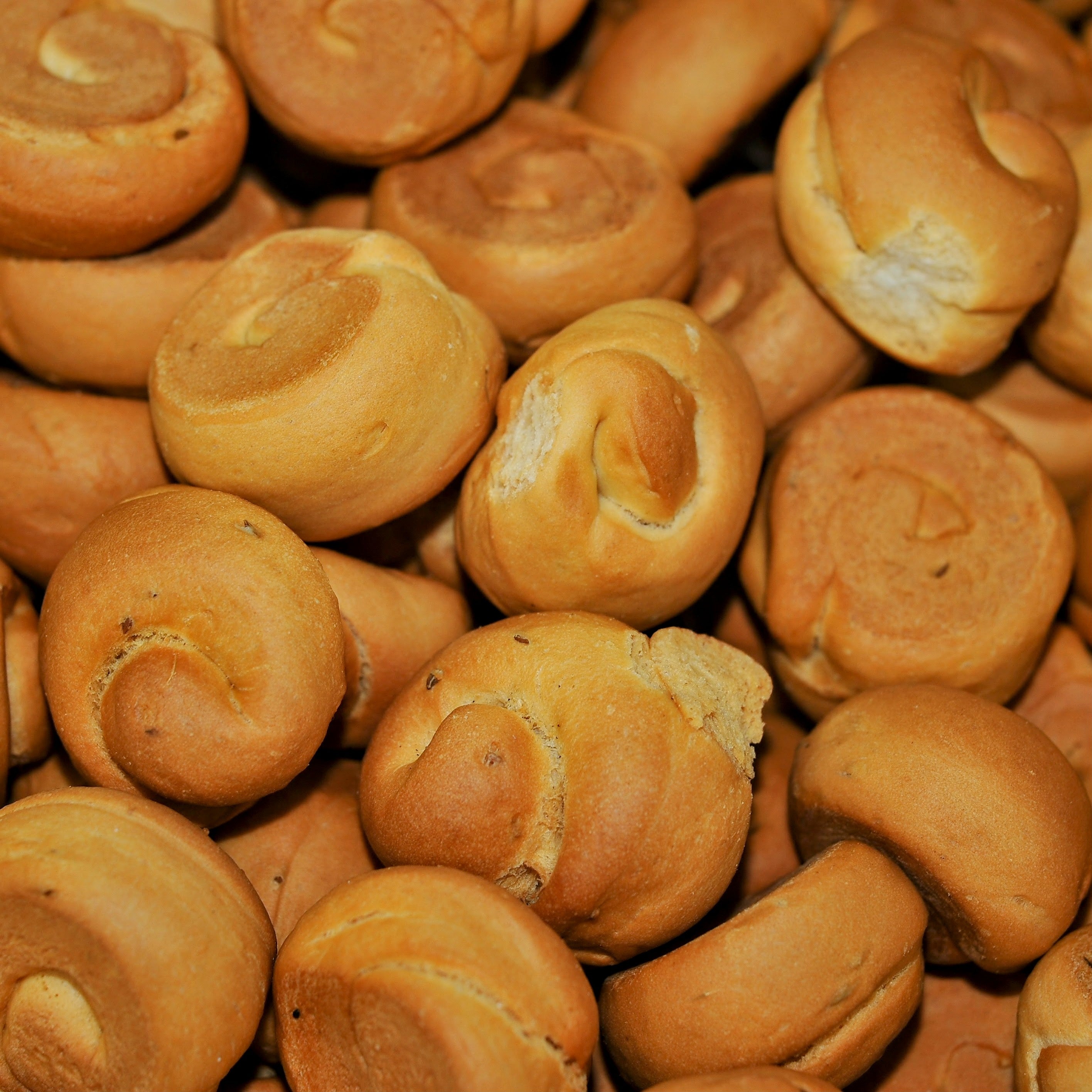 biscotti con lo strutto siciliani